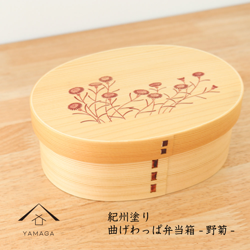 Kishu - Magewappa Lunch Box - Wild Chrysanthemum