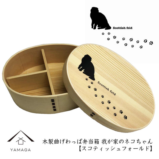 Magewappa 午餐盒 我们的猫系列 苏格兰折耳猫