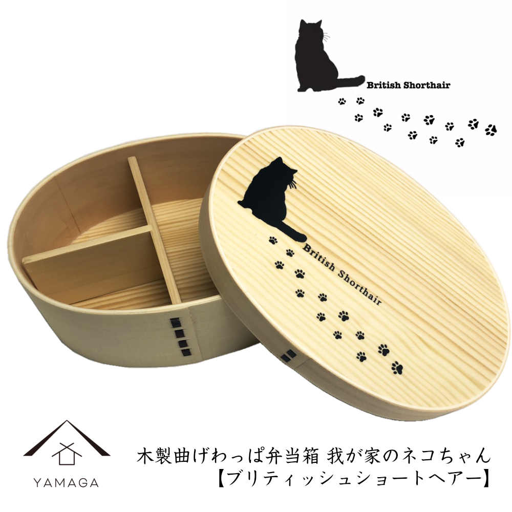 Magewappa Lunch Box Our Cat Series British Shorthair