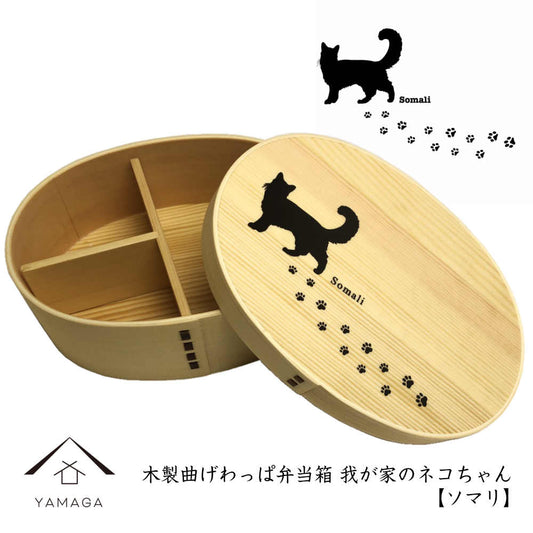 Magewappa 午餐盒,我们的猫系列,索马里