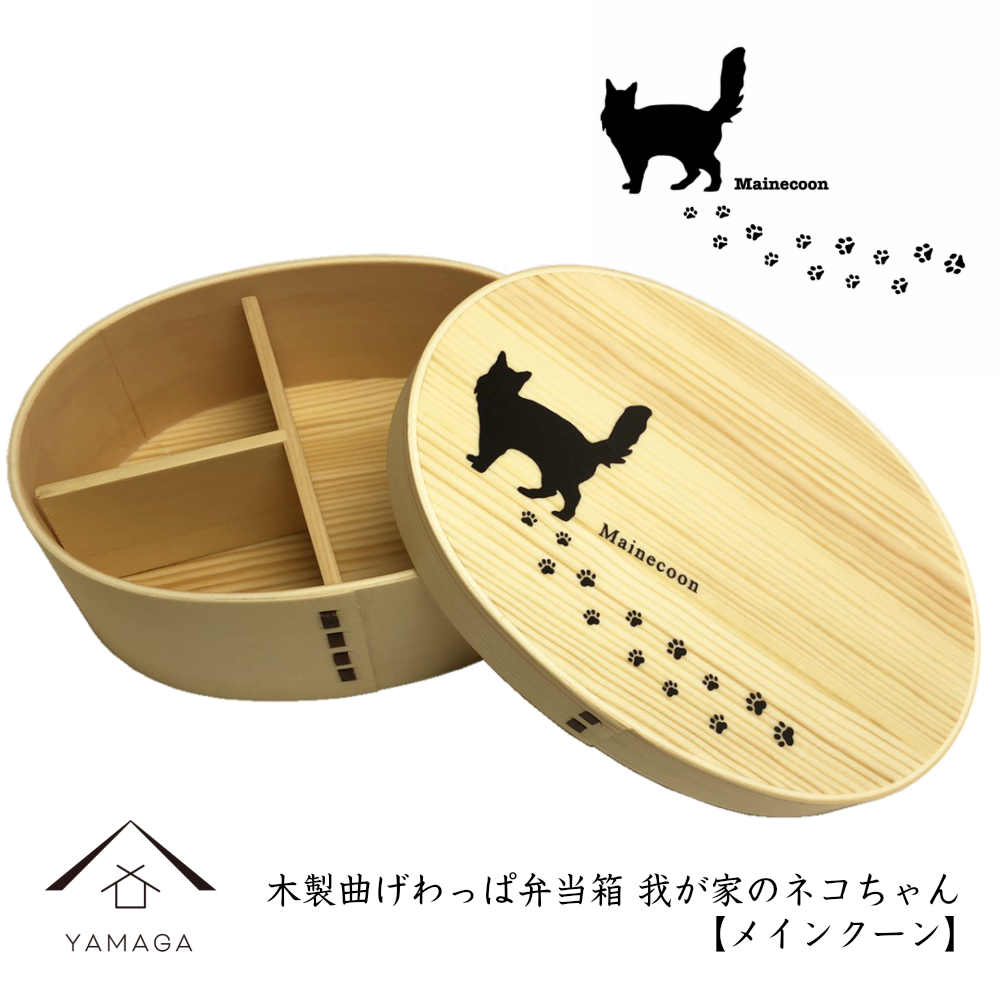 Magewappa Lunch Box My Cat Series Maine Coon