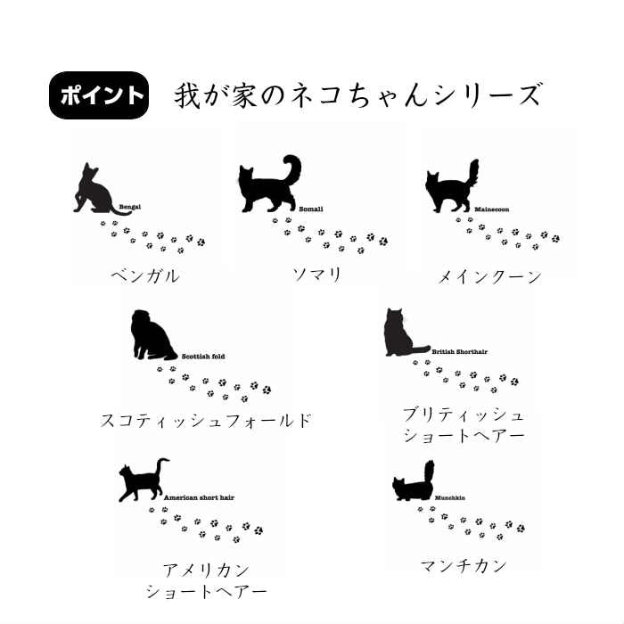 Magewappa Lunch Box My Cat Series American Shorthair