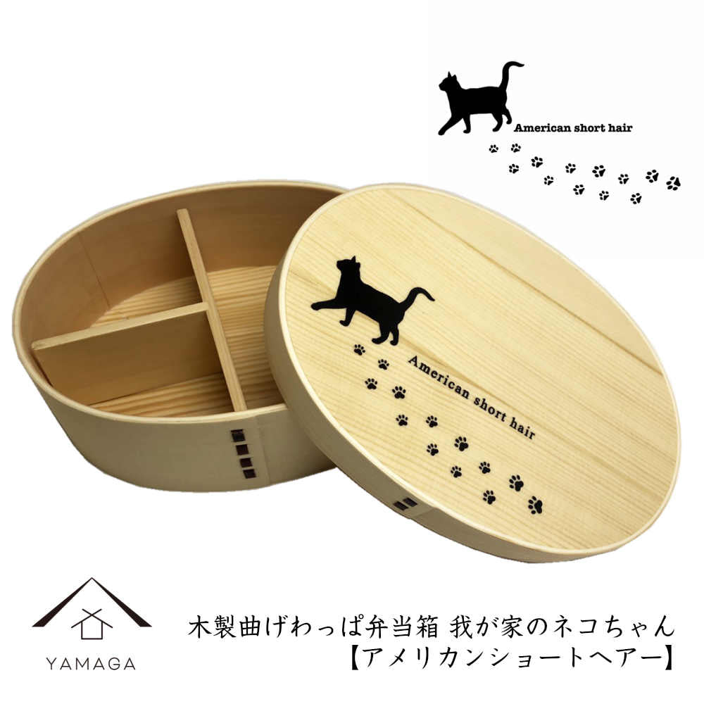 Magewappa Lunch Box My Cat Series American Shorthair