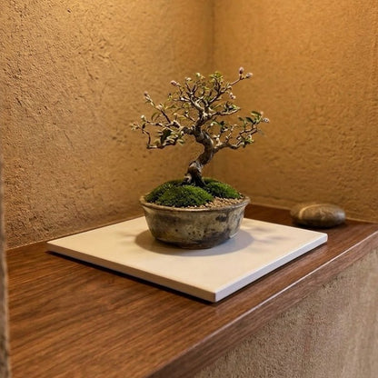 木製花台 飾り台 おぼろ塗り 正角 6号 18cm 黒 白 敷板 インテリア 花瓶