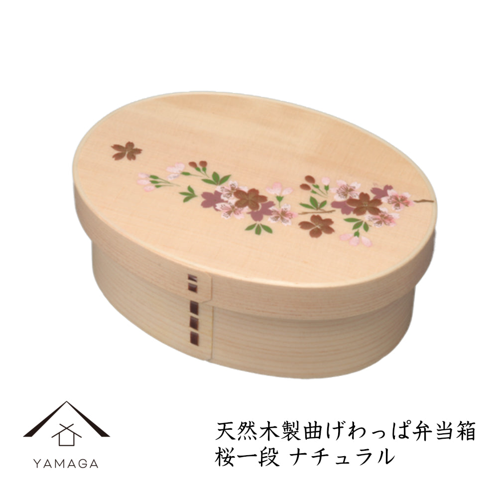 紀州蒔絵 木製 曲げわっぱ弁当箱 桜 ナチュラル PH01-2