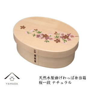 紀州蒔絵 木製 曲げわっぱ弁当箱 桜 ナチュラル PH01-2